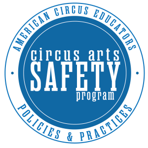 ACE Safety Seals - Policies+Practices_Blue